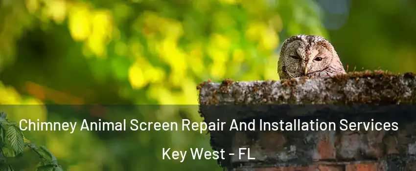  Chimney Animal Screen Repair And Installation Services Key West - FL