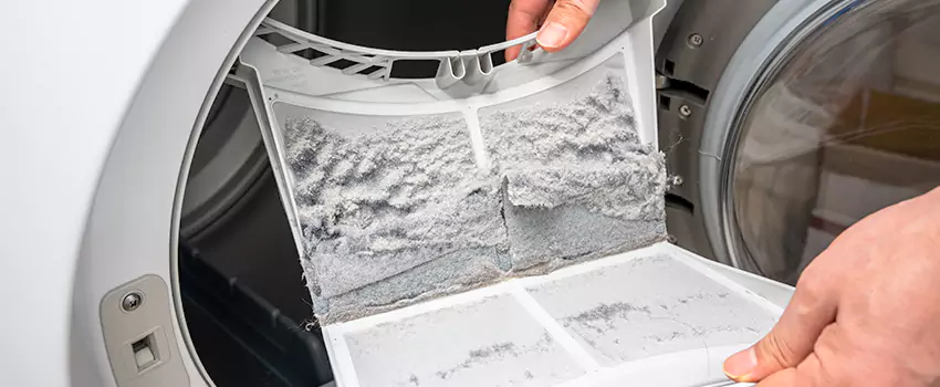 Best Dryer Lint Removal Company in Key West, Florida